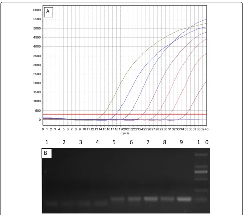 Table 1 Intra- and inter-assay reproducibility of the real-time PCR