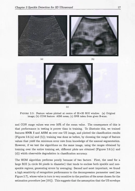 FIGURE 2.5: Feature values plotted at centre of 35x35 ROI window. (a) Original image; (b) COM feature: ASM mean; (c) SNR taken from given B-scan
