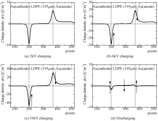 Figure 5  Space charge formations in Sc-LDPE-Sc with different voltages. 