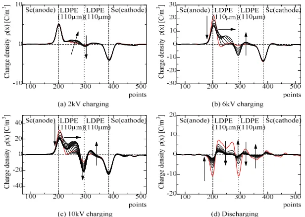 Figure 7  Space charge formations in Al-LDPE/LDPE-Al with different voltages. 