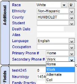 Figure 1-5 Primary and Secondary Phone # fields in in the Patient Detail window 