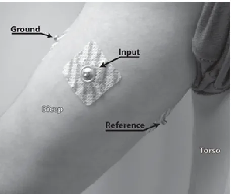 Figure 4 Electrode positions on upper arm. Input is on the bicep, ground is on the outside of the arm, reference is on 