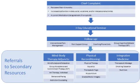 Table 1 Multidisciplinary Pain Program curriculum