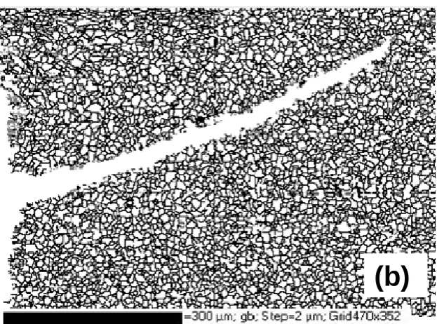 Fig. 1 Low magnification micrograph of optical observation (a) and EBSD analysis (b) of a low carbon steel