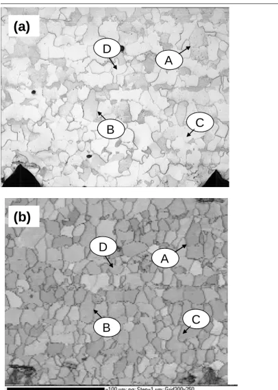 Fig. 2 High magnification micrograph of optical observation (a) and EBSD analysis (contrast map) (b) of a low carbon steel