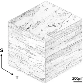 Fig. 3 Optical image of the three-dimensional microstructure of the Al-2.2Cu-0.94Mg-0.42Mn-1.6Li wt% alloy (mechanical polishing and etched by Keller’s reagent)