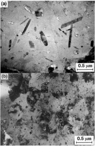 Fig. 1. Microstructures in the as-received Al-7034 alloy in (a) the as-received condition and (b) after ECAP through 6 passes at 473 K