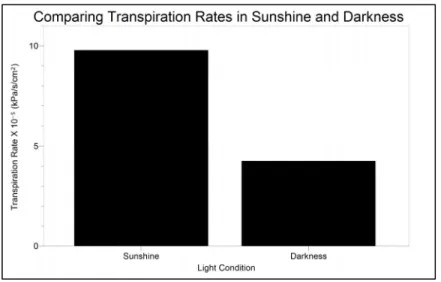 Figure 4  Transpiration rates in sunshine and darkness 