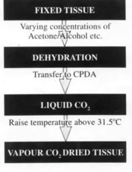 Figure 3: Dehydration Intermediate Fluids for CPD  SUBSTANCE  SURFACE TENSION (DYNES/CM) 