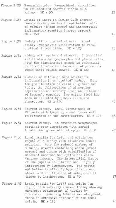 Figure 2.28 