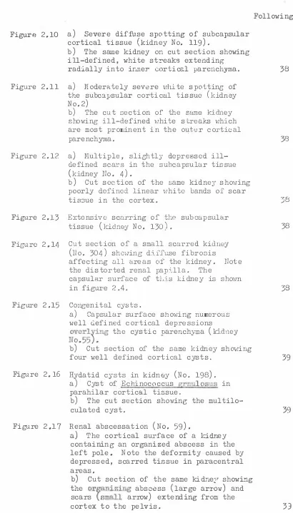 Figure 2.10 