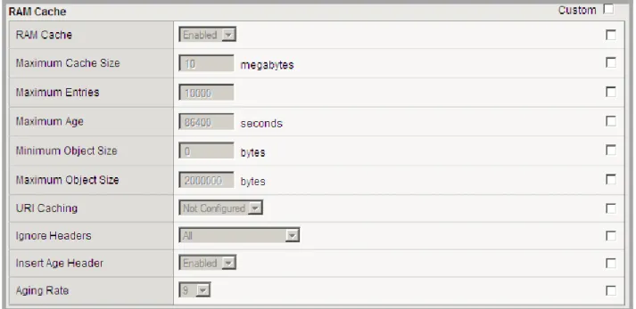 Figure 6: RAM Cache, HTTP WAN Optimized Profile for VMware View  Persistence Profiles using iRules and UIE 