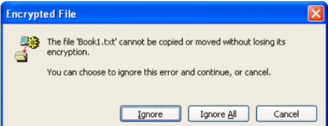 Figure 6.2.a – Encrypted File Screen 