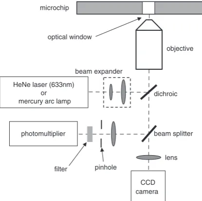 Fig. 4Schematic diagram of the confocal optical detection setup
