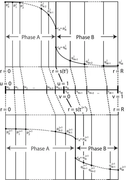Fig. 2. The Landau transformation introduces new positional variables for which the interval [0,1] corresponds to the extent of one ofthe phases