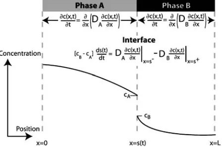 Figure 1 Schematic diagram showing the concentration proﬁle acrossa TLP bond at one instant in time
