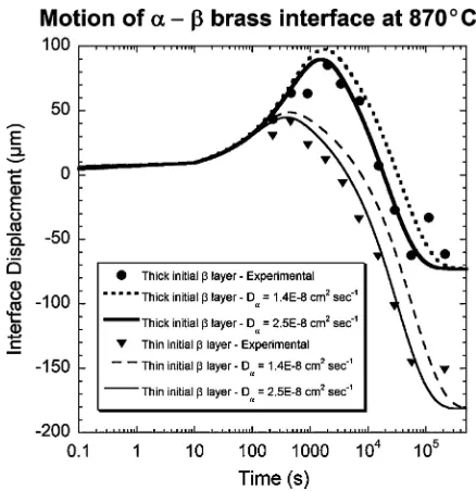 Figure 3 Experimental data and model predictions for the growth andsubsequent shrinkage of β-brass in contact with α-brass at 870◦C.Experimental data are from Heckel et al