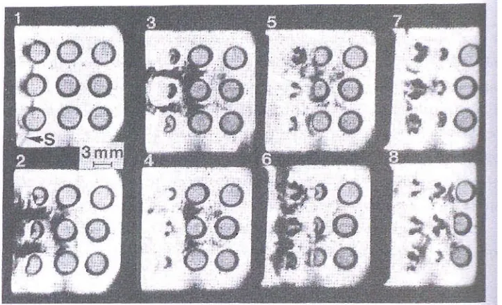 Figure 2.5: coSchilieren images of a rectangular array of nine cavities of diameter 3 mm, llapsed by a shock wave S 