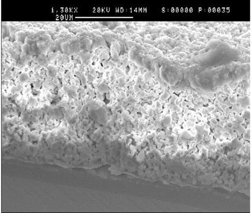 Figure 4. Microscope view of deposited PZT material.