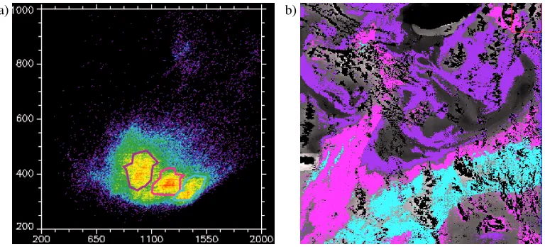 Fig. 4. a) Zoom of classification in area to north of Madagascar, showing patchy cloud (black)