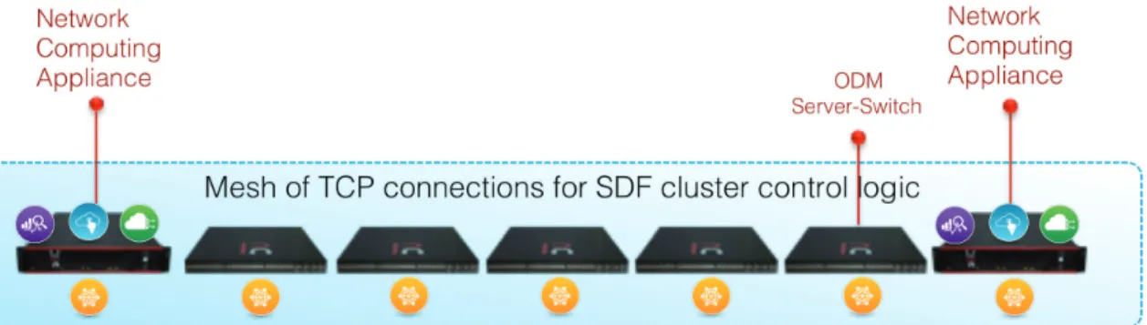 Figure 8: SDF federation of different platforms  under one single logical switch