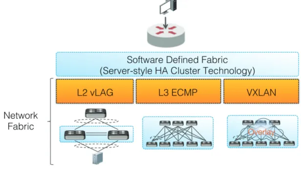 Figure 3 shows how the cluster management software of the fabric is built on top of a  standard Ethernet fabric