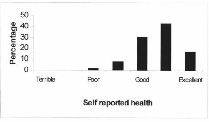Figure 3.1. Participants' Self-ratings of Health Status. 