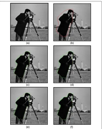 Fig. 3 Performance of the proposed method on Cameraman image, compared to the DWT based methodwith the strong objects