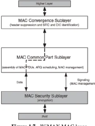 Figure 1.7 - WiMAX MAC layer   