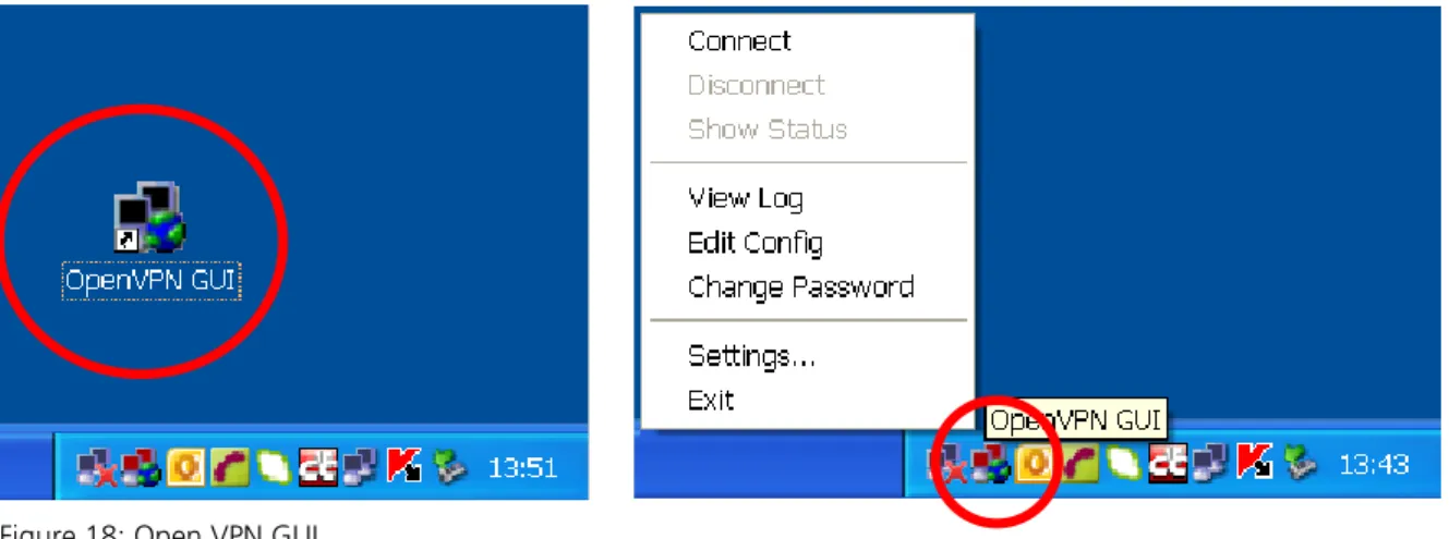 Figure 18: Open VPN GUI 