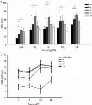Figure 2. Temporary threshold shifts (TTS) and changes of DPOAEs caused by post-exposure days are not significantly different (P > 0.05)