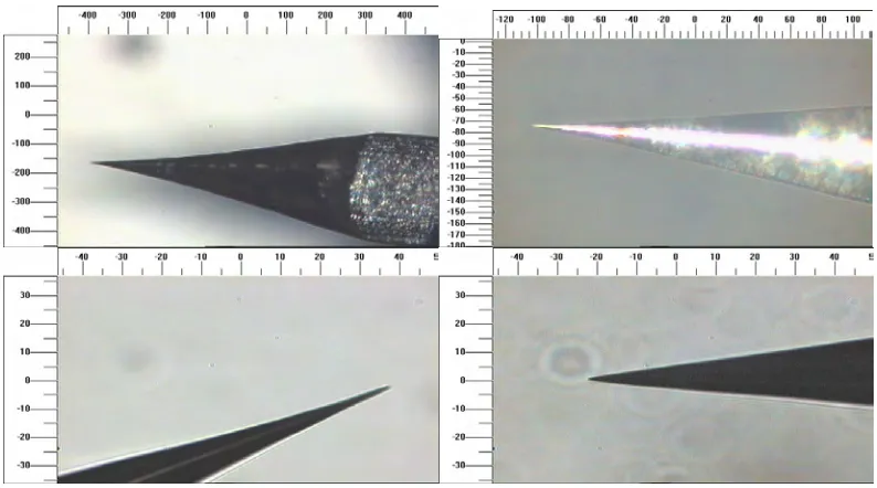 Figure 3.2 (Above): Examples of AC etched macroscopic double tips. (Scale is in microns.) 