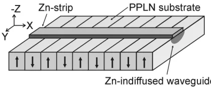 Fig. 1. A schematic representation of the zinc diffusion process in PPLN. 