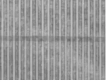 Table 1. The propagation loss of zinc indiffused waveguide 