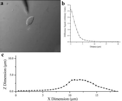 Figure 4. Isolation of the ac and dc signals. (a) Cyclic voltammogram of oxygen at a 2-applied dc potential wasµm Pt disk electrode without an applied ac signal.(b) Cyclic voltammogram of oxygen at a 2-µm Pt disk electrode with an applied ac signal of 10 m