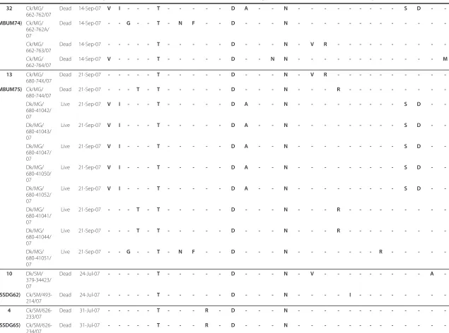 Table 3 HA protein sequence diversity of H5N1 viruses associated with HPAI outbreaks in eight smallholder duck farms with multiple isolates (Continued)