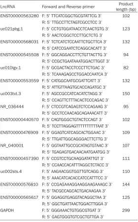 Table 1. Primers used for qRT-PCR analysis of fifteen randomly selected lncRNAs