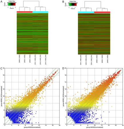 Figure 2. The profiles of differentially expressed lncRNAs and mRNAs in doxorubicin-resistant MG63/DXR cells were compared with their parental MG63 cells