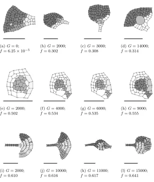 Fig. 1.4Fittest phenotypes at key stages (generation G) in artiﬁcial evolution,where f is ﬁtness:[1.4(a)-1.4(d)] Random growth/division, [1.4(e)-1.4(h)] Regulargrowth/division, [1.4(i)-1.4(l)] DRGN control