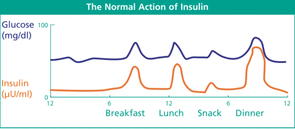 Figure 1: Represents 24-hour action of blood glucose and insulin action in a person without diabetes.