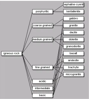 Figure 1 Laddered Grid in the geology domain 