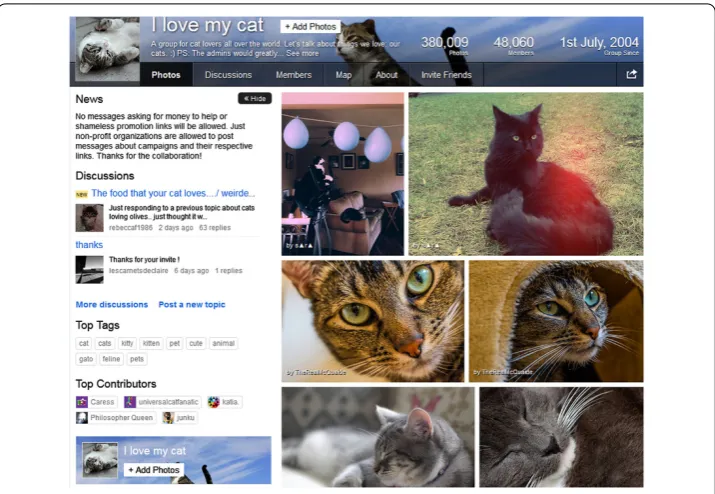 Figure 1 Page of a popular Flickr group, showing the pictures in the photo pool and a set of content(news, add photo, top tags) and social (discussions, members, top contributors) features.
