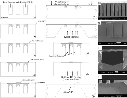 Fig. 2.Cross-sectional schematic of the fabrication steps for the column-release method and corresponding scanning electron micrographs for four of thefabrication stages (a, b, i, and j)