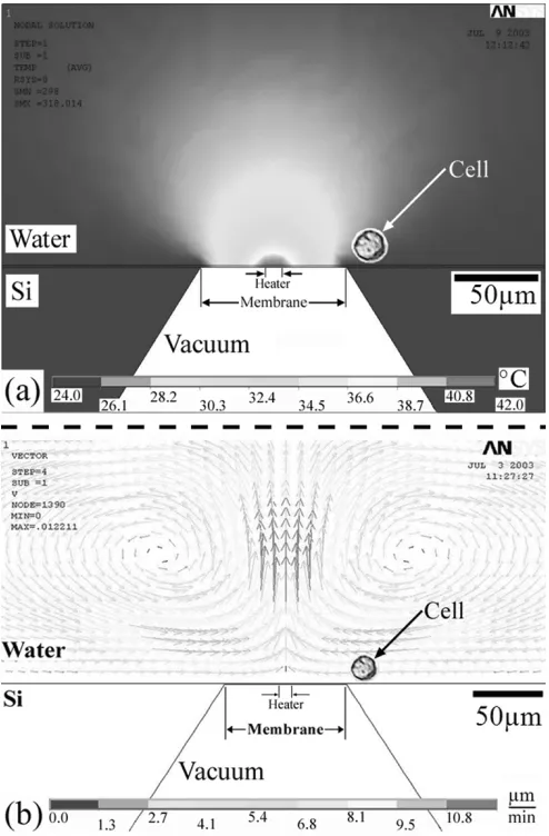 Fig. 6]. The model showed that unattached cells resting more