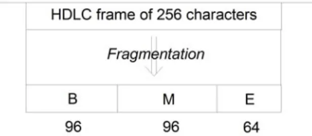Figure 1-2:  A long frame fragmented into cells