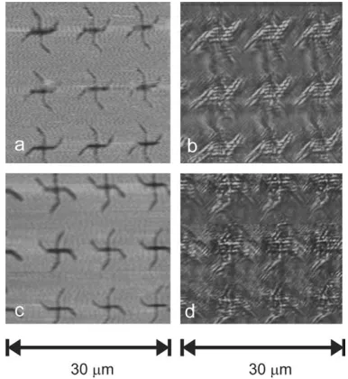 Fig. 2. (a,c) Topography and (b,d) near-ﬁeld optical distribu-tions above the chiral structures (ha = 2 lm, (a,b) h = 45�, (c,d) = �45�, D = 10 lm) for cross-polarization angle 0� (A^P).The grey-scale is the same for all optical images.