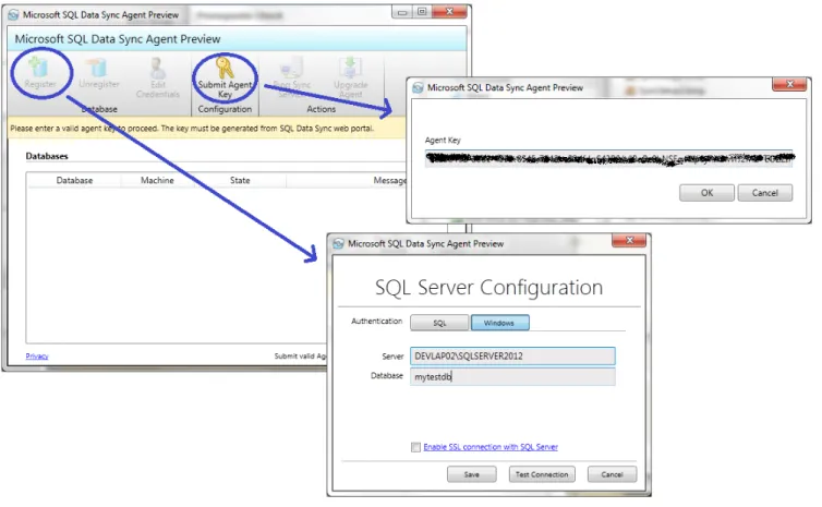 Figure 7 - Configure Agent