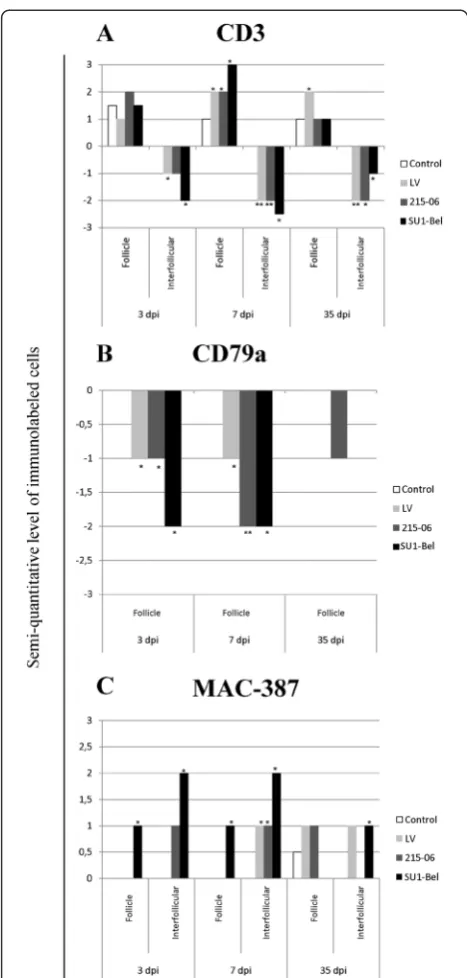 Figure 4B) compared with the control groups. IFN-γ was