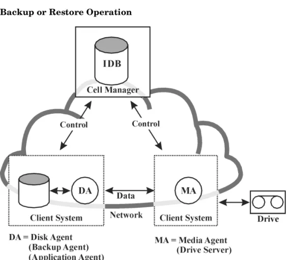 Figure 1-5 Backup or Restore Operation