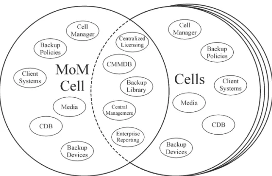 Figure 1-10 Manager-of-Managers Environment